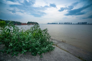 DSC00012-3
