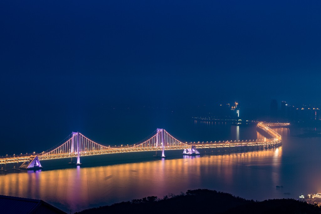 大桥全景