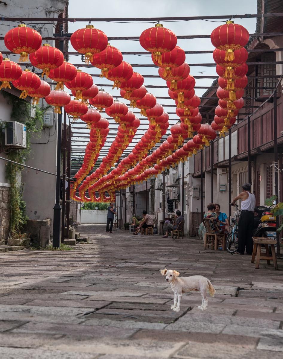 旅游在浙江岱山东沙古镇拍摄