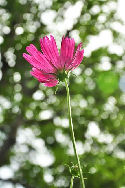 20100725-DSC_0108<br />
