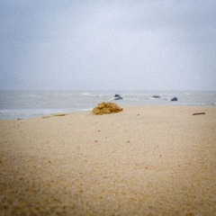 暴风雨后的小沙丘