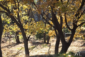 DSC_0645.jpg