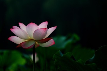 A_J1A0599
