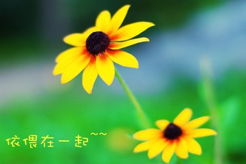 IMGP5945-3.jpg