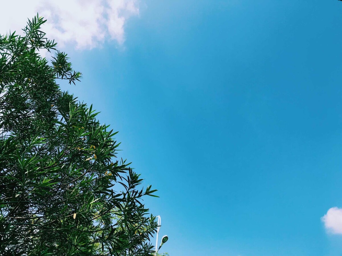 天放晴