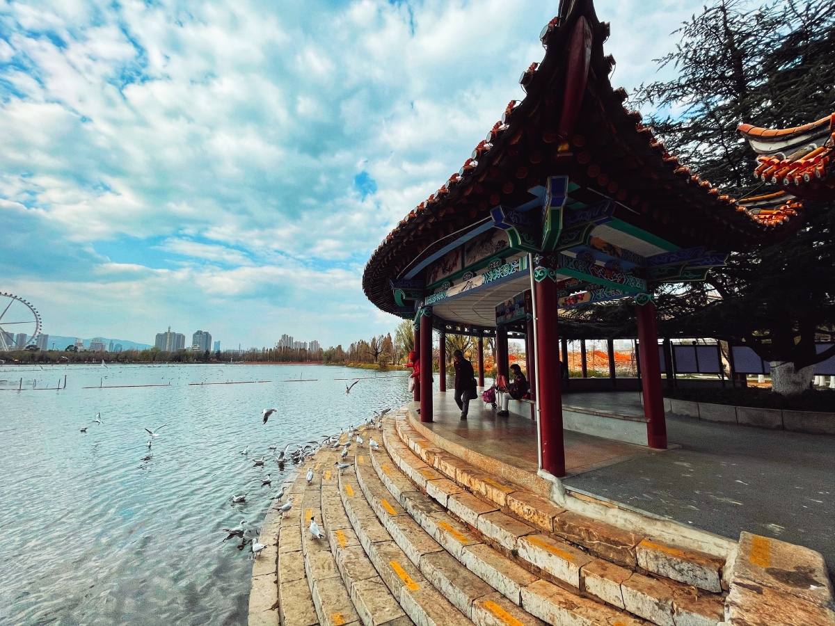 庾园- 爱摄影的舒克 - 图虫