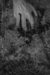 IMG_9897g