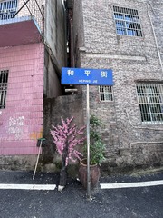 8F5794A5-AD57-4F30-BC4A-27A151EEA516/L0/001