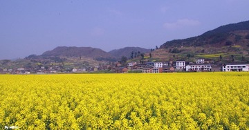 南川 处理过颜色