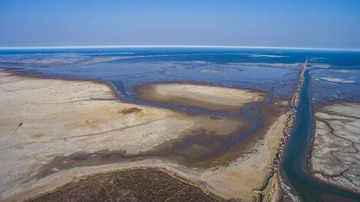 DJI_0091-1