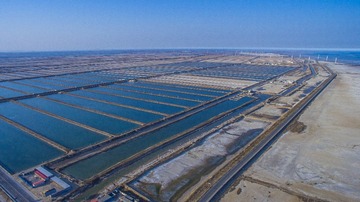 DJI_0095-1