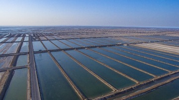 DJI_0100-2