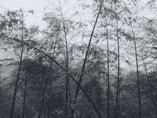 190710