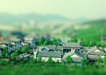2012-5-30茶博園