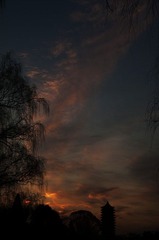 DIM_7494