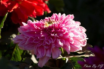 IMG_9190.jpg