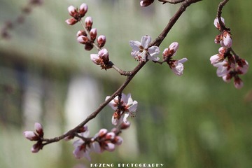 IMG_2439_1000.jpg