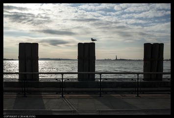 _DSC7656