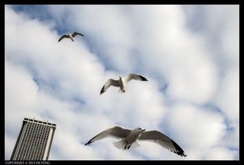 _DSC7686
