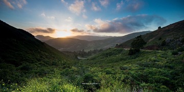 DSC_0463.jpg