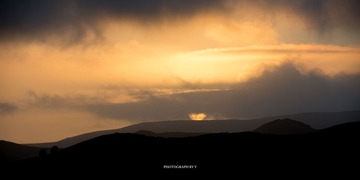 DSC_0466.jpg