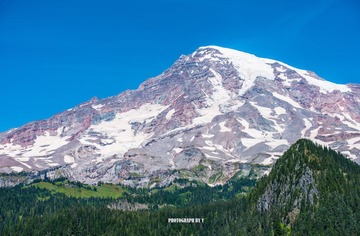 DSC_1160.jpg