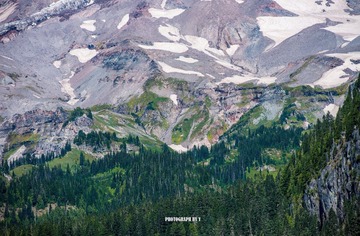DSC_1162.jpg