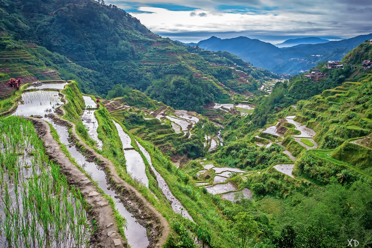 【Banaue Rice Terraces, Ifugao, Philippines】虽说不如云南元阳的梯田那般绚烂，但科迪勒拉山脉的这一系列梯田历史更悠久，自然条件更恶劣，其实也有自己的一番特色吧。