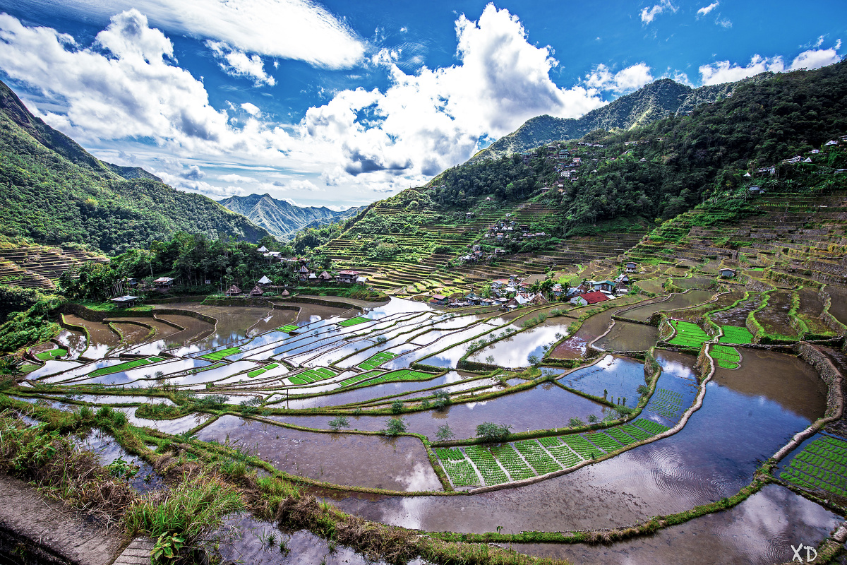 【Batad Rice Terraces, Ifugao, Philippines】应该是科迪勒拉山脉中最壮丽的一片梯田吧。要想见到这番景色也着实需要费一番功夫了。