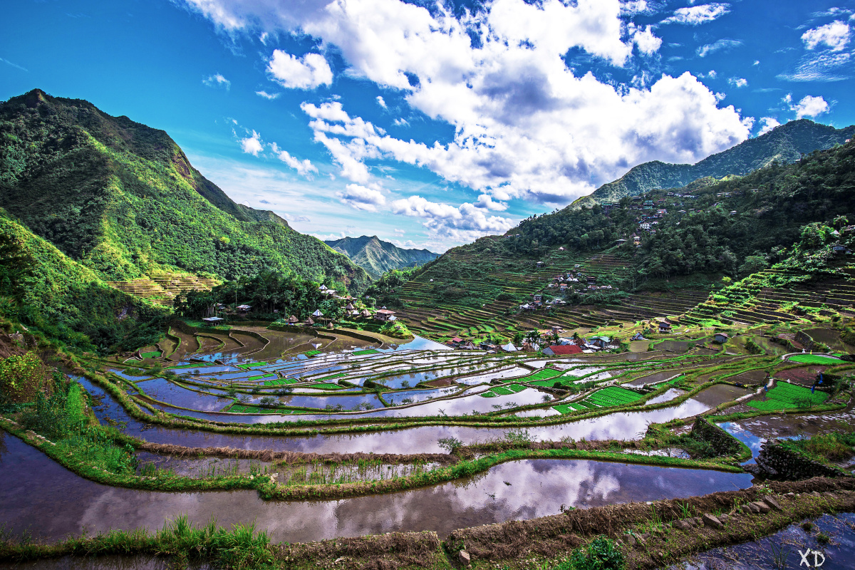 【Batad Rice Terraces, Ifugao, Philippines】应该是科迪勒拉山脉中最壮丽的一片梯田吧。要想见到这番景色也着实需要费一番功夫了。