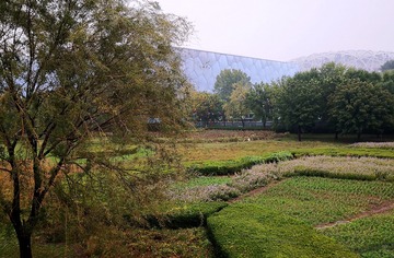 纽约中央公园