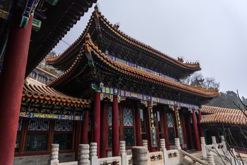 xixi同志挠头