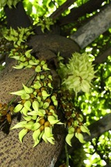 IMG_3528_调整大小