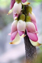 IMG_3447_调整大小