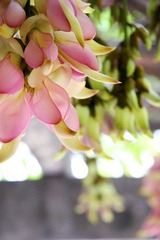 IMG_3455_调整大小