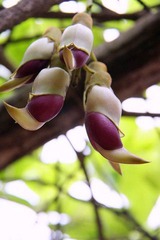 IMG_3467_调整大小