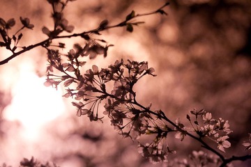 IMG_9615.jpg