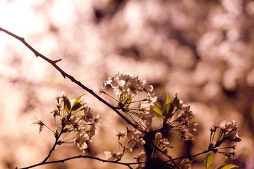 IMG_9616.jpg