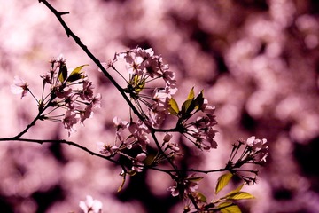 IMG_9617.jpg