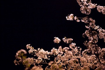 IMG_9637.jpg