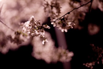 IMG_9673.jpg