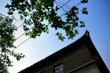 小清新@南京