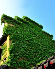 鸡鸣寺·山墙