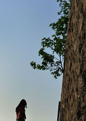 小清新