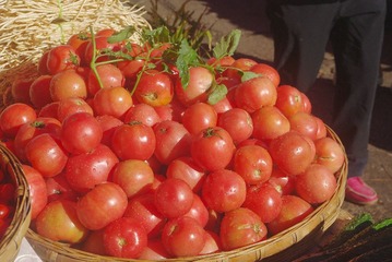 IMGP12411.jpg