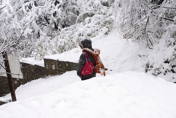 峨眉山雪