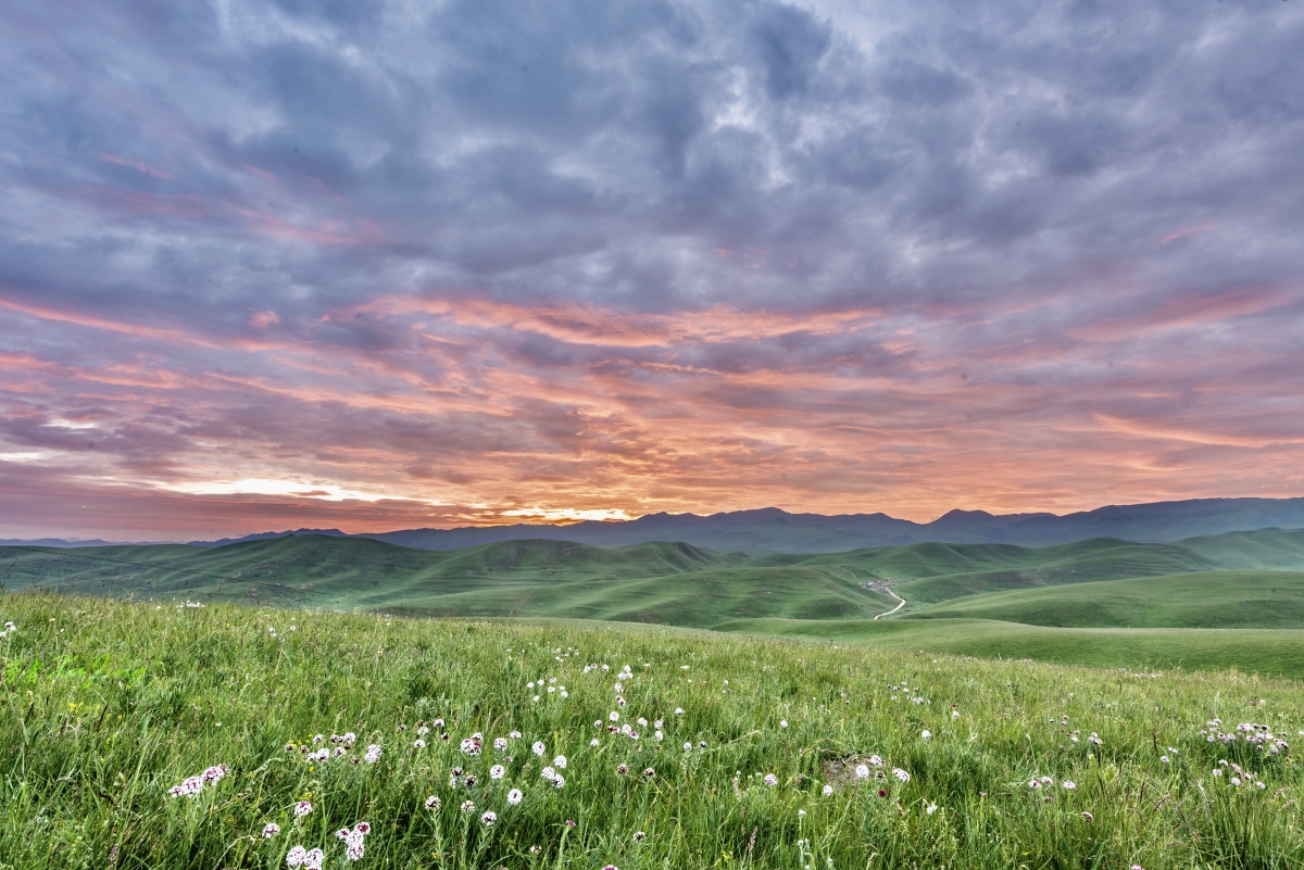 守望草原日出摄于甘南桑科草原