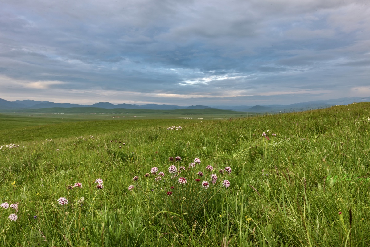 守望草原日出摄于甘南桑科草原