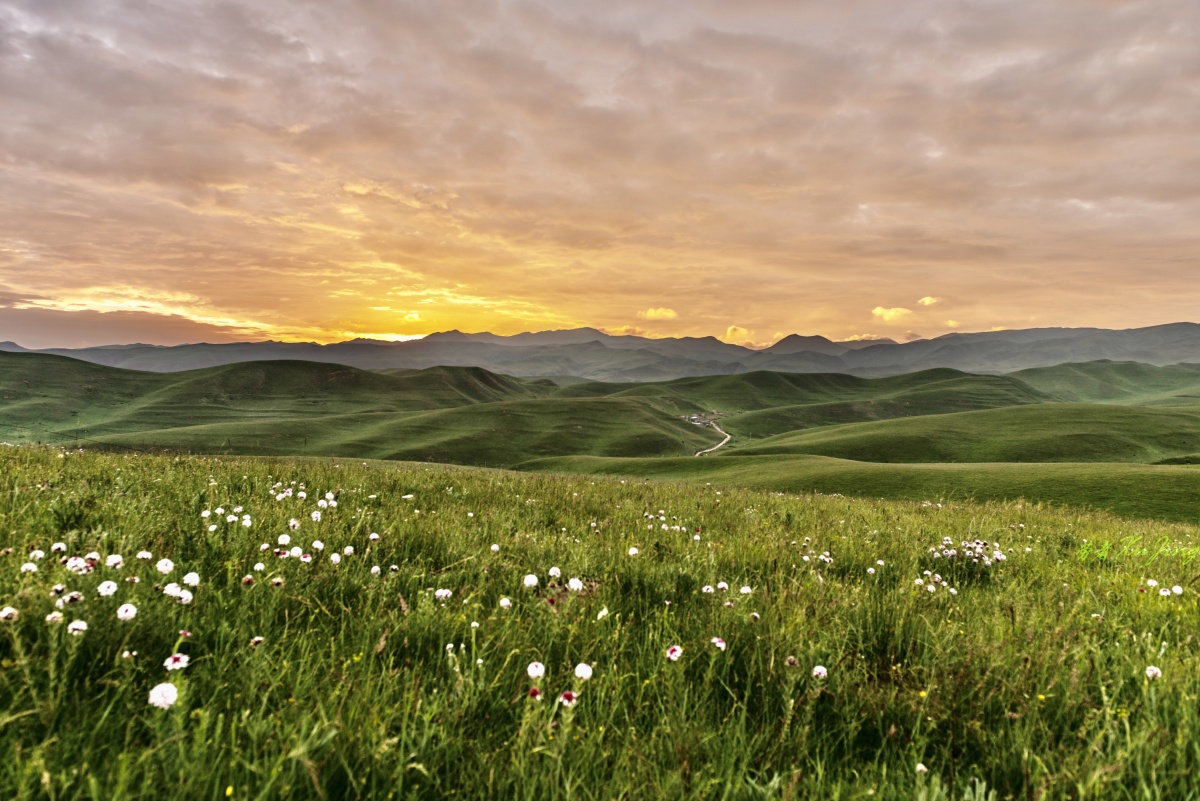 守望草原日出摄于甘南桑科草原