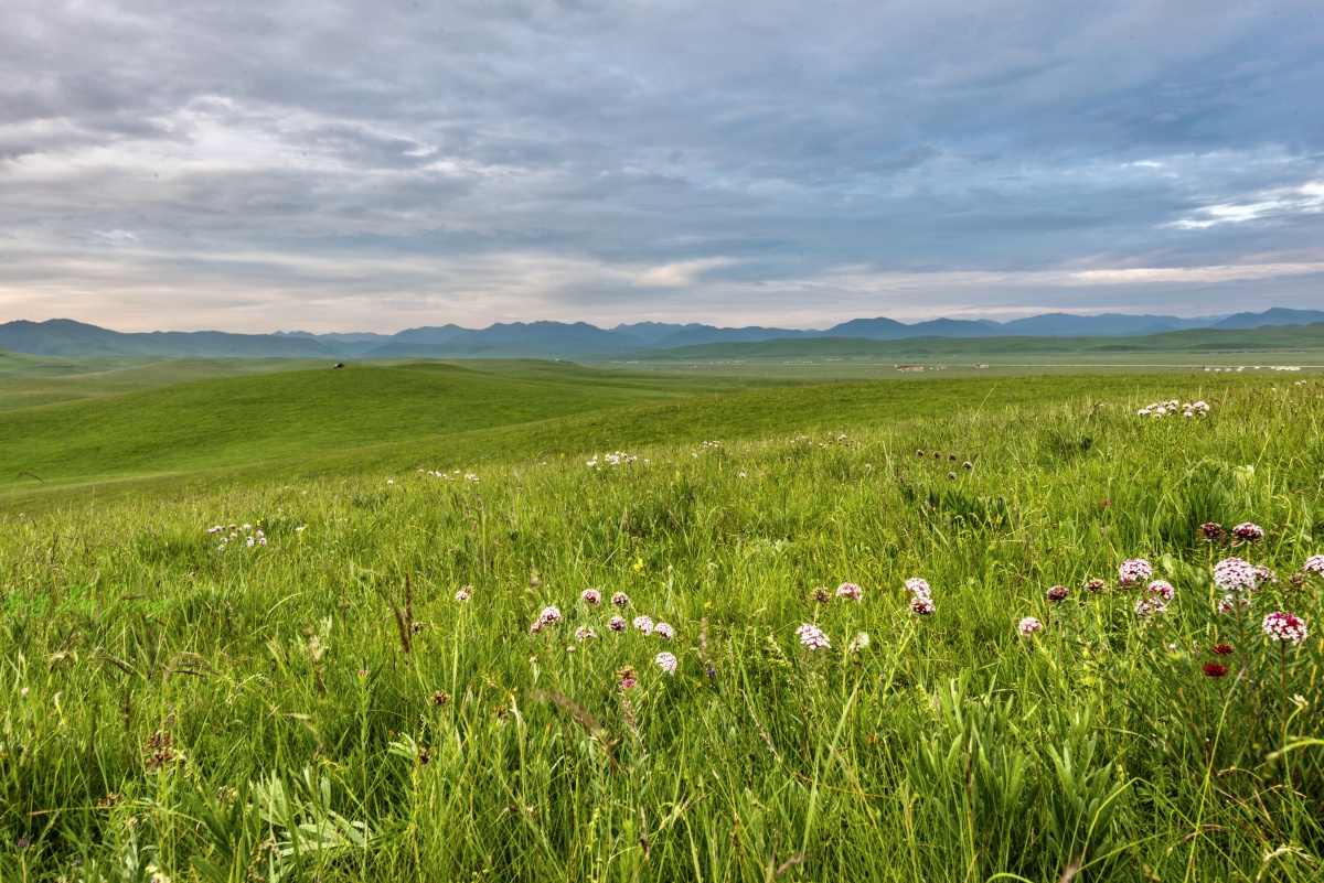 守望草原日出摄于甘南桑科草原